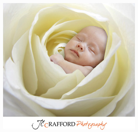 Michelle_mommysdarling_4