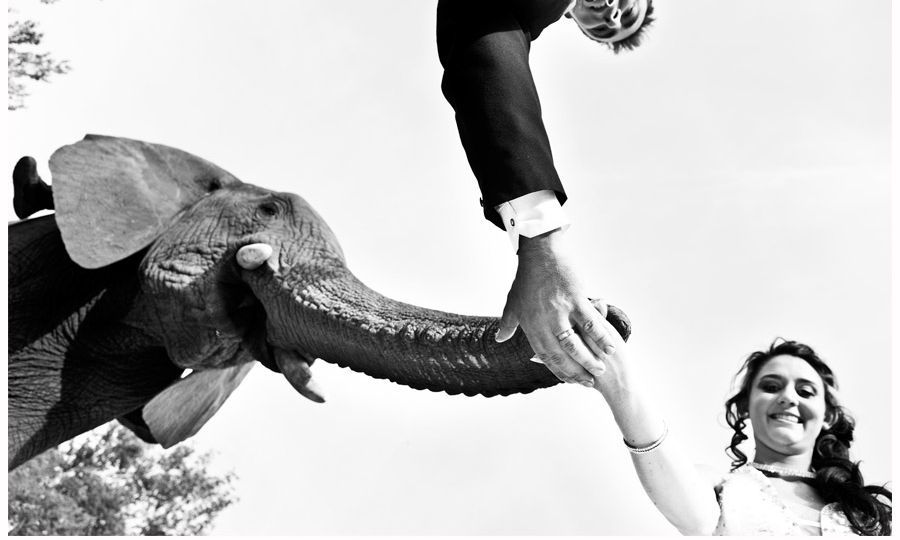 Askari-Game-Lodge-wedding-photographer-1-(1)