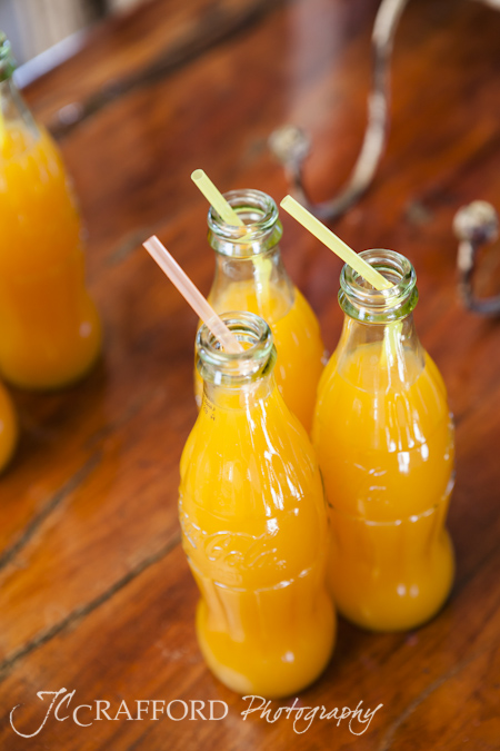 Lechwe-Lodge-wedding-photographer-Kroonstad-JCCrafford-36