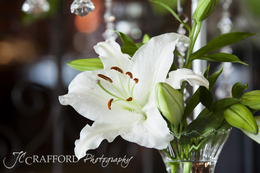 Lechwe-Lodge-wedding-photographer-Kroonstad-JCCrafford-4