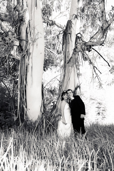 Usambara-wedding-photographer-Pretoria-JCCrafford-38