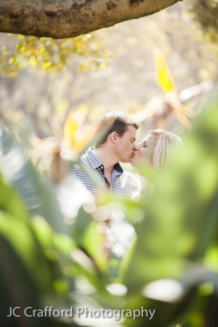 _MG_5299 Pre wedding photoshoot JC Crafford