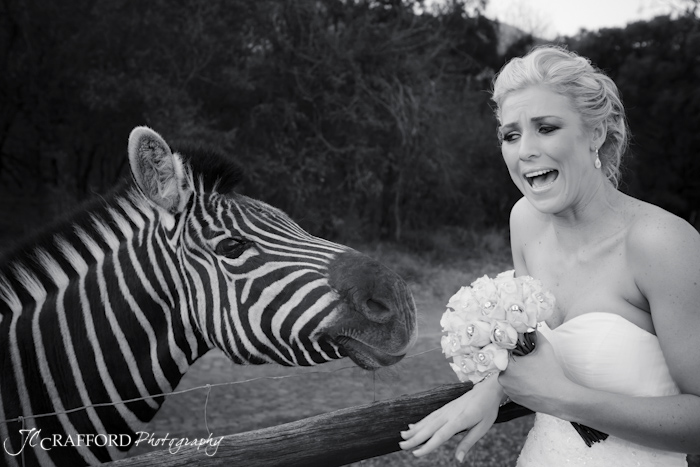 Green Leaves wedding photographer JC Crafford
