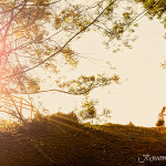 Diamantvallei wedding photography1