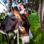 Lavender Hills Bethlehem wedding Photographer JC Crafford Kevin & Amanda