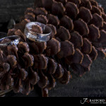 Forrest Walk Midrand wedding photographer JC Crafford