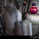 Forrest Walk Midrand wedding photographer JC Crafford