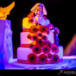 Ellisras Wedding Photography by JC Crafford