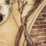 Castellodi Monte wedding photography by JC Crafford Photography