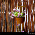 Casablanca manor wedding photography by JC Crafford Photography