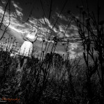 jccrafford-Pretoria-couples-photoshoot-railwaycafe-EN