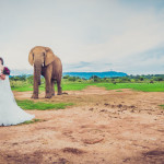 Askari Lodge wedding photography by JC Crafford Photography