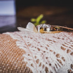 Bushveld Pond wedding photography by JC Crafford Photography