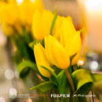 Avianto wedding photography by JC Crafford Photography