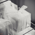 Motozi odge wedding Photography by JC Crafford Photography