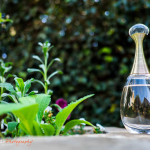 JC Crafford wedding photography at Morrell's in Randburg - LM