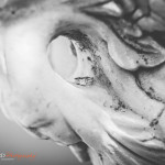 JC Crafford wedding photography at Morrell's in Randburg - LM