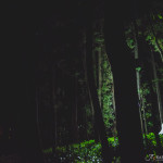 Galagos Wedding photography by JC Crafford Photography