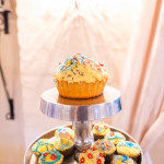 casablanca manor wedding photography by JC Crafford