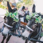 Zambezi Point wedding photography by JC Crafford Photo and Video DM