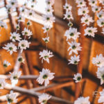 Valverde wedding photography by JC Crafford Photo & Video MR