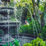 Wediing photography at Engedi in Krugersdorp by JC Crafford Photo & Video GM