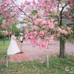 JC crafford nPhoto and Video wedding photography at Zambezi Point in Pretoria