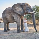 JC-Crafford-Photo-and-Video-wedding-photography-in-Videography-in-South Africa -Kapama-Game-Reserve