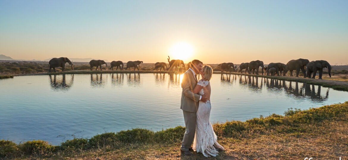 JC-Crafford-Photo-and-Video-wedding-photography-in-Videography-in-South Africa -Kapama-Game-Reserve