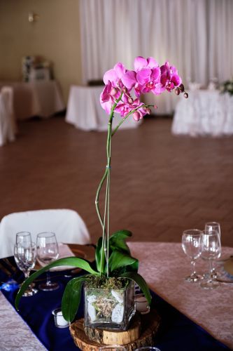 JC Crafford La Chateau Wedding Photographer DC