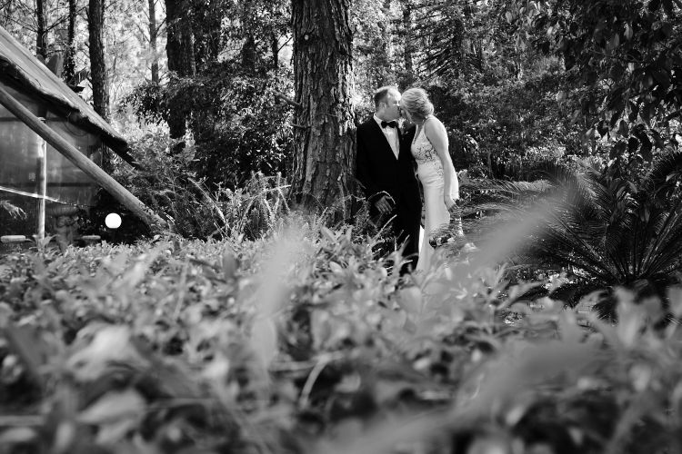 JCCrafford Photo & Video Forest Walk Wedding Photography ZC 39